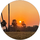 Alexis Feuillatre profile picture